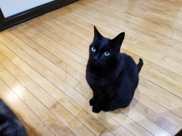 20170404_194807_1491349748483